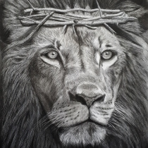 A3 - Lion of Judah - Art Print